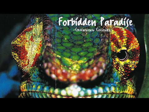 Forbidden Paradise - Changing Colours - CD1 (2002)