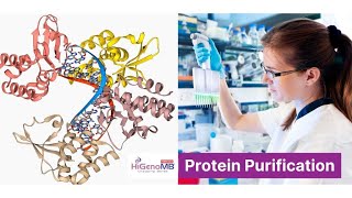 HiGenoMB Crash Course Series - Session 3: Protein Purification