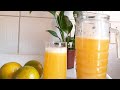 Como Fazer SUCO De LARANJA Feito No LIQUIDIFICADOR Natural