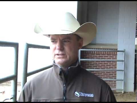 Their Own Roads to the Horse