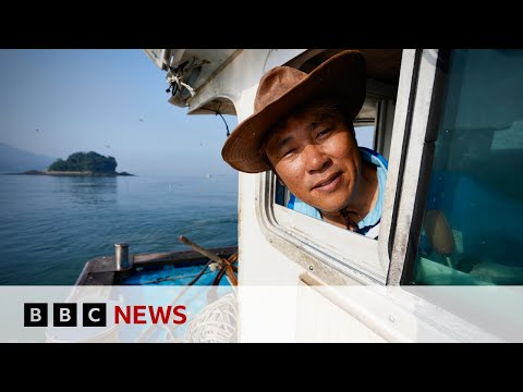Video | Is climate change to blame for rise in South Korea fishermen deaths? | BBC News