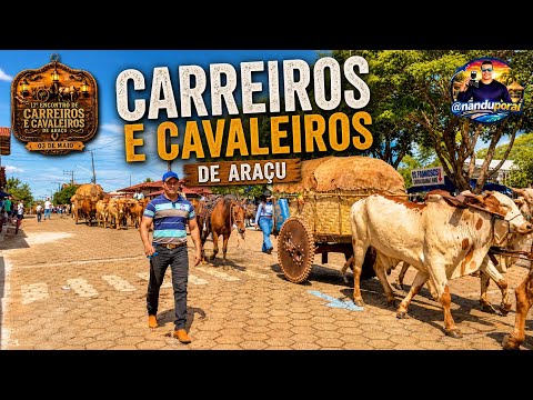 Encontro de Carreiros de Araçu Goiás 17° edição 2026