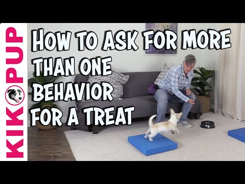 What is Clicker Training