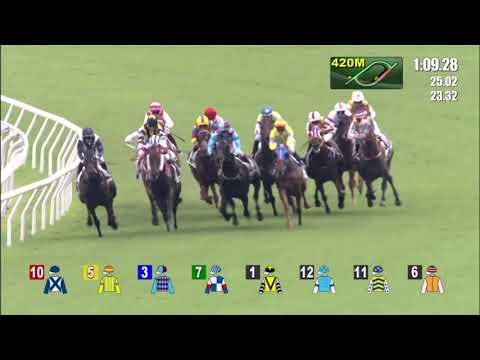 20/6/2021 (763) Oscar Glory - J Moreira