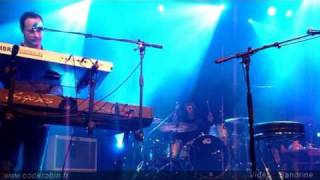 Cock Robin - another story (Bataclan - 29 janvier 2011)