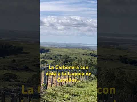 Cargamos novillos con vista espectacular a la laguna #camioneros #lagunadecastillos #rutasypaisajes