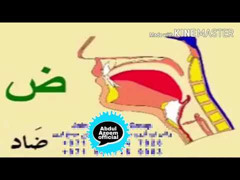 Makharij-e-huruf | مخارج حروف | Tajweed Quran | Quran Tajweed | Arabic Alphabet with pronunciation |