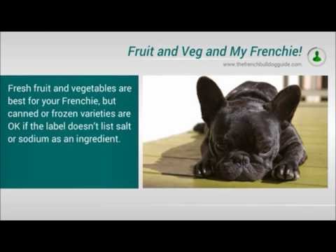 download lagu mp3 mp4 Best Vegetables For French Bulldogs, download lagu Best Vegetables For French Bulldogs gratis, unduh video klip Best Vegetables For French Bulldogs