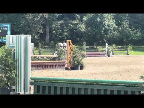 Lottie video 2