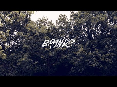 Parkee ft. Amalice - BRANDZ [Music Video]