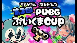 【PUBG】第3回 ぷいくま杯【3分ディレイ】