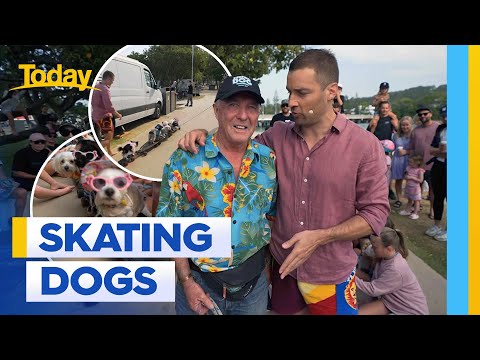Gold Coast man teaching his dogs to skate and surf | Today Show Australia - YouTube