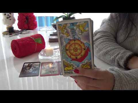 Your Life One Year From Now👆💖Timeless Pick a Card Tarot Reading