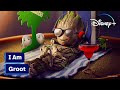 Some Baby Groot to Brighten Your Day | Disney+