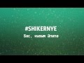 #SHIKERNYE (ШИКӘРные) - Бас, кызым Әпипә! (AUDIO) 