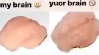 My brain vs your brain (meme)