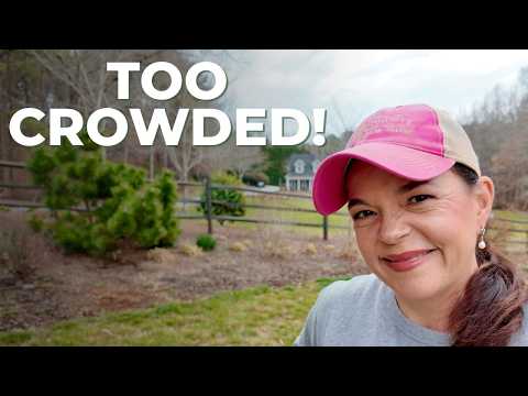 Massive Berm Refresh! Transplanting, Planting & Mulching Day