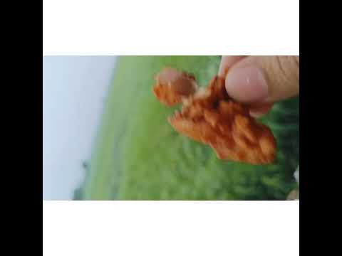 #sunday #cooking #byme #rain #siblings #field #views #teatime