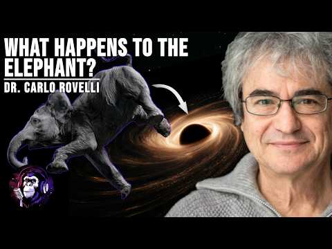 What Happens When You Fall Into a Black Hole? | Carlo Rovelli | Escaped Sapiens #96