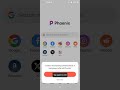 Phoenix Browser File Downloader