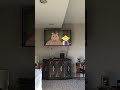 Opening To Arthur S Teacher Trouble 1997 VHS
