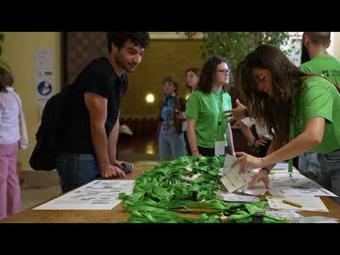 T4EU WEEK Plenary Session