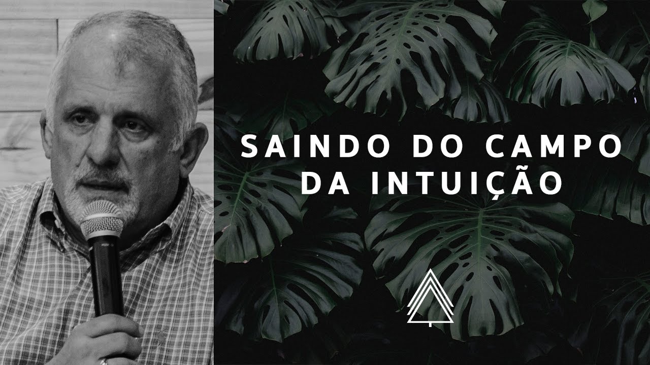 Saindo do Campo da Intuição - Paulo Borges Junior