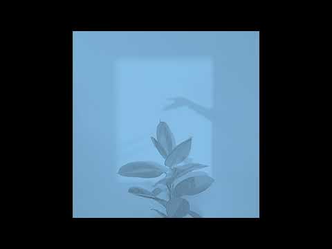 🌺97 tesla// Tame Impala / Toro y Moi type beat