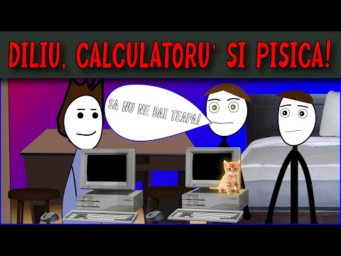 POVESTI DIN GENERALA: DILIU, CALCULATORU' SI PISICA!