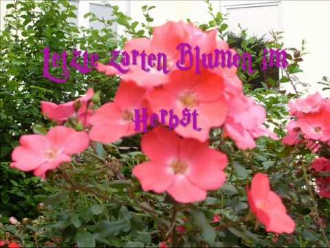 Halt die Zeit an_0001.wmv