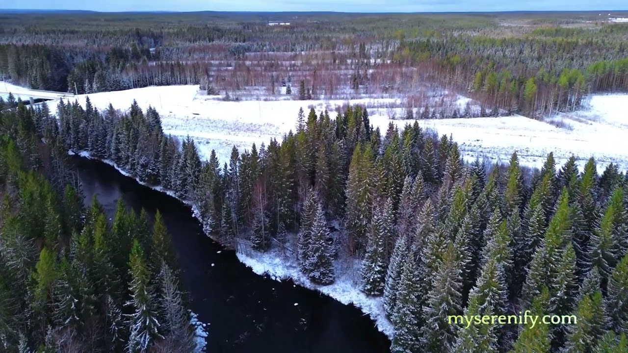 Meditate to Relax Your Mind: Essential Techniques