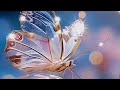 Beautiful Screen Wallpaper Photo Mobile Screen Dark Wallpaper Photos Best Wallpaper Images