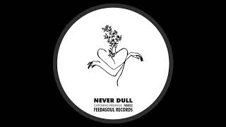 Never Dull - Catching Feelings (Original Mix) video