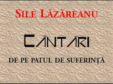 🎤Sile Lazareanu - Spre ceruri eu mi-am indreptat privirea