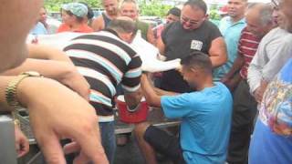 1ra Competencia y Exhibición de Cabras Lecheras y de Carne de Puerto Rico 1ra Competencia y Exhibición de Cabras Lecheras y de Carne de Puerto Rico
