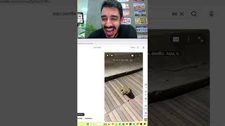 Sapo Bastião  #clips #frossard #galo