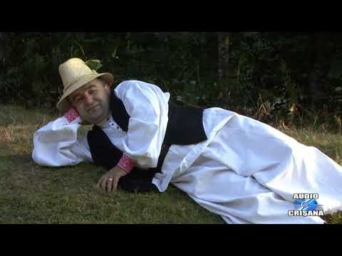 CORNEL BORZA - Trecut am lume pan' tine