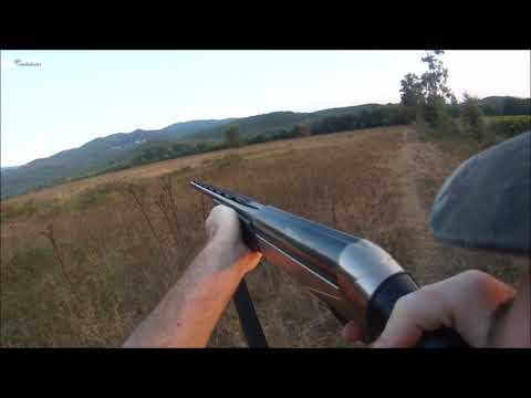 Ouverture Petit gibier 2019 et Surprise !!!