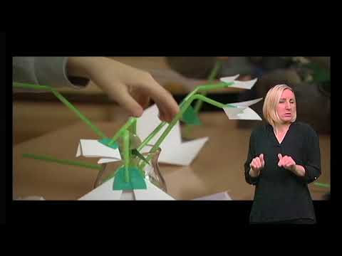 MESTO ZA NAS 160 - OTVORENO SA PROFESOROM BOJANINOM