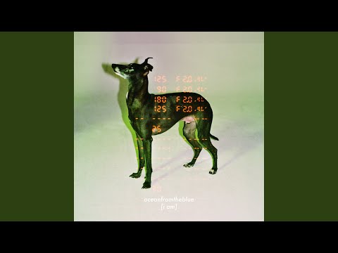 Video thumbnail for 사랑해 (i am)