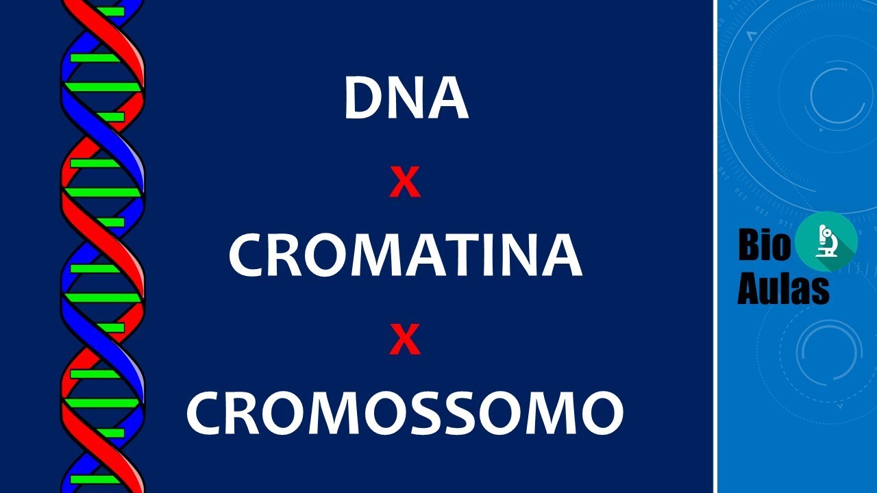 DNA, Cromatina e Cromossomo: Diferenças? (Biologia Molecular) - Bio Aulas