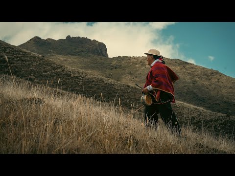 Tayta Apuk - Kuyay Chinkashka (Official Music Video) / Quipus Kan - VioLino