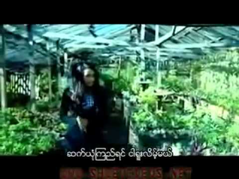 ေဖာ္ကာ ေနာက္ထပ္မညာပါနဲ႔