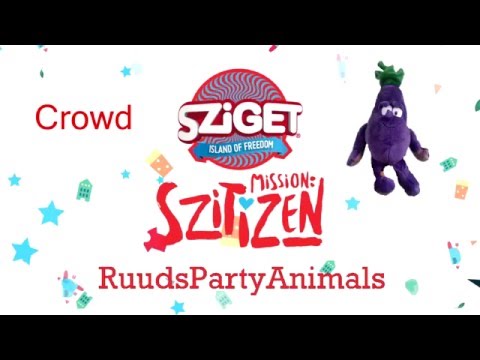 Mission:Szitizen 2016 Crowd RuudsPartyAnimals