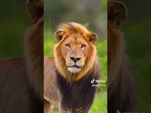 who be his one oo who send you to me 🤣