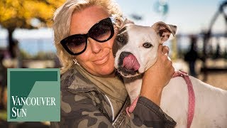 Daughter’s beloved dog returns home | Vancouver Sun