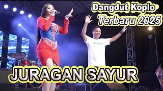 Download lagu JURAGAN SAYUR - LAGU DANGDUT SLOW - LAGU DANGDUT KOPLO TERBARU 2025 - DANGDUT PANGGUNG VERSI Ai mp3