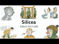 Silicea Drug Picture Homoeopathic Remedy Timidity Obstinate Homoeopathy Hhf Materiamedica