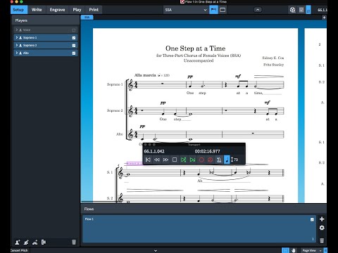 My Vlog Composing & Arranging in Dorico Pro 3.5