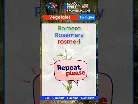 La mejor forma de aprender a decir【#Romero】en #ingles | #rosemary  #aprenderingles